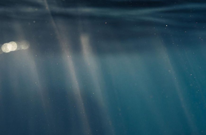 Review of The Breadth of&hellip;