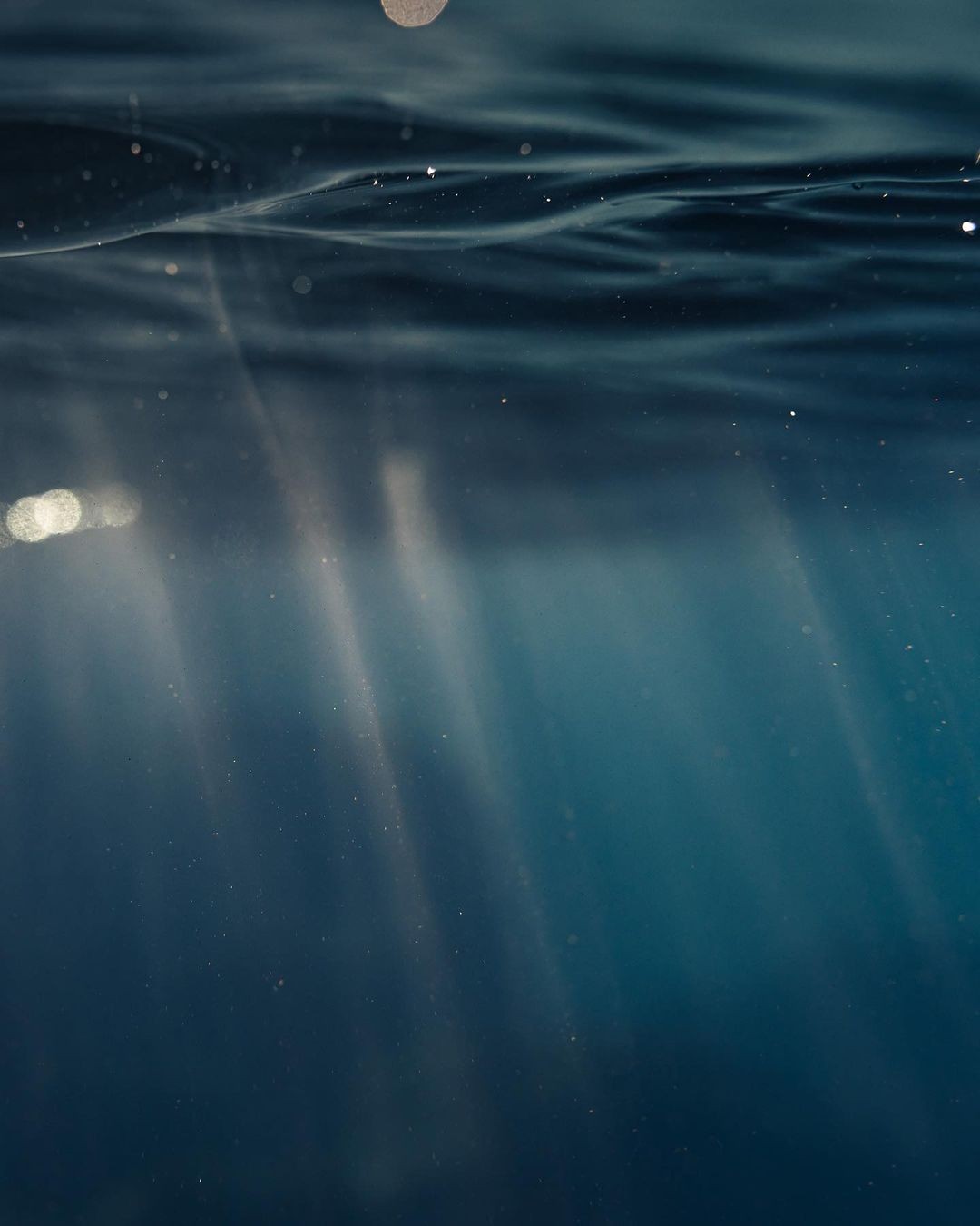 Review of The Breadth of Salvation