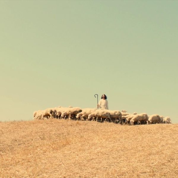 Review of The Leader’s Journey: Accepting the Call to Personal and Congregational Transformation