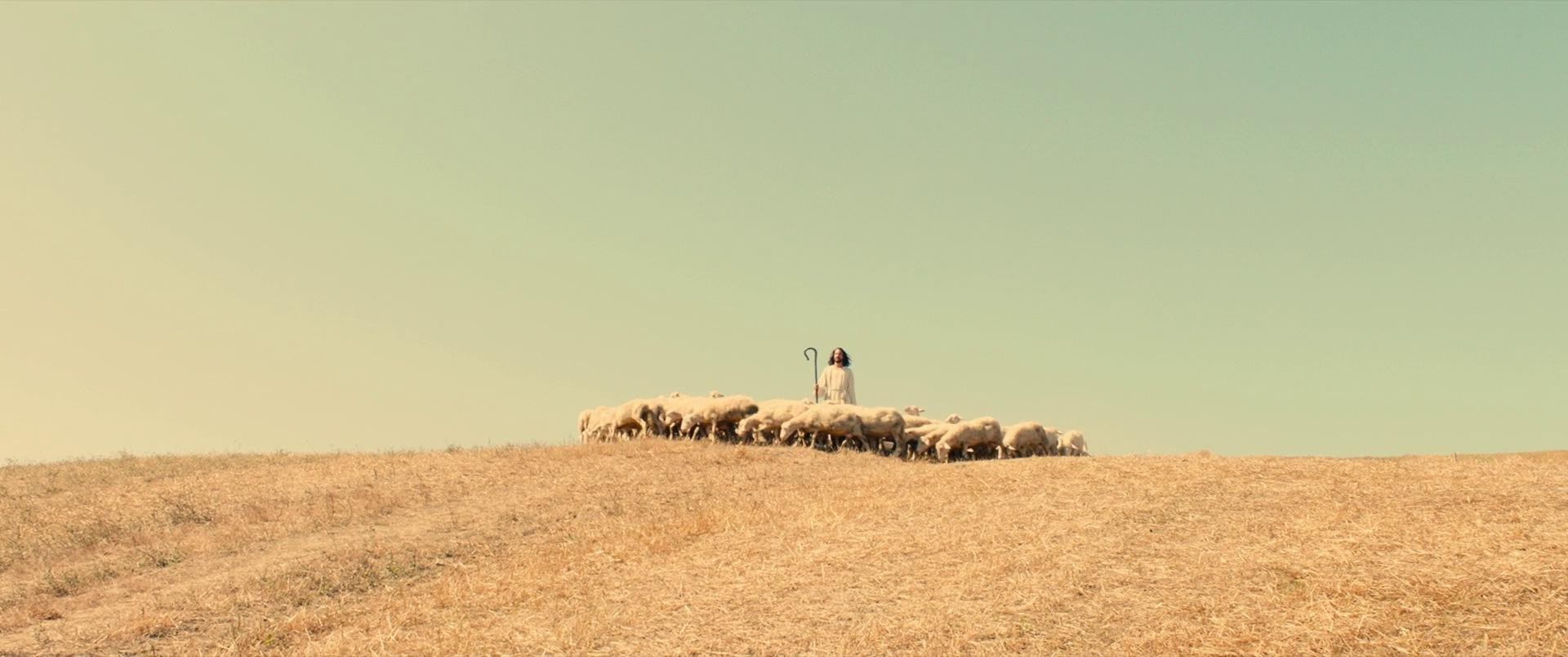 Review of The Leader’s Journey: Accepting&hellip;